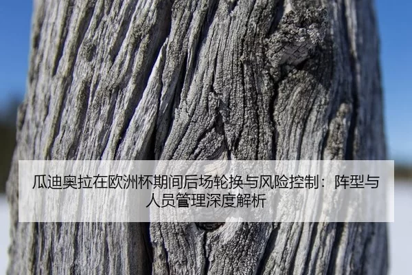gua-di-ao-la-zai-ou-zhou-bei-qi-jian-hou-chang-lun-huan-yu-feng-xian-kong-zhi-zhen-xing-yu-ren-yuan-guan-li-shen-du-jie-2-579.jpg