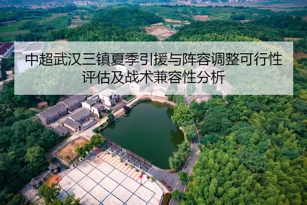 中超武汉三镇夏季引援与阵容调整可行性评估及战术兼容性分析