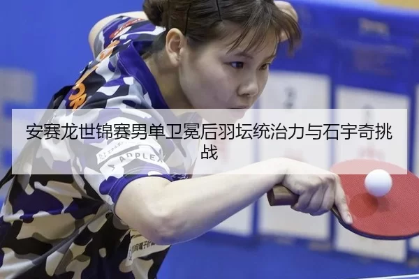 an-sai-long-shi-jin-sai-nan-dan-wei-mian-hou-yu-tan-tong-zhi-li-yu-shi-yu-qi-tiao-zhan-3-476.jpg