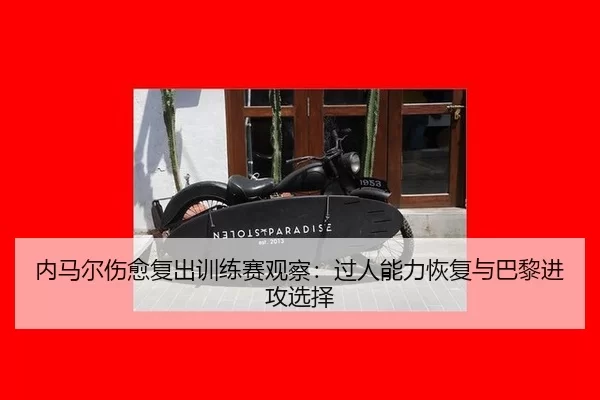 nei-ma-er-shang-yu-fu-chu-xun-lian-sai-guan-cha-guo-ren-neng-li-hui-fu-yu-ba-li-jin-gong-xuan-ze-3-334.jpg